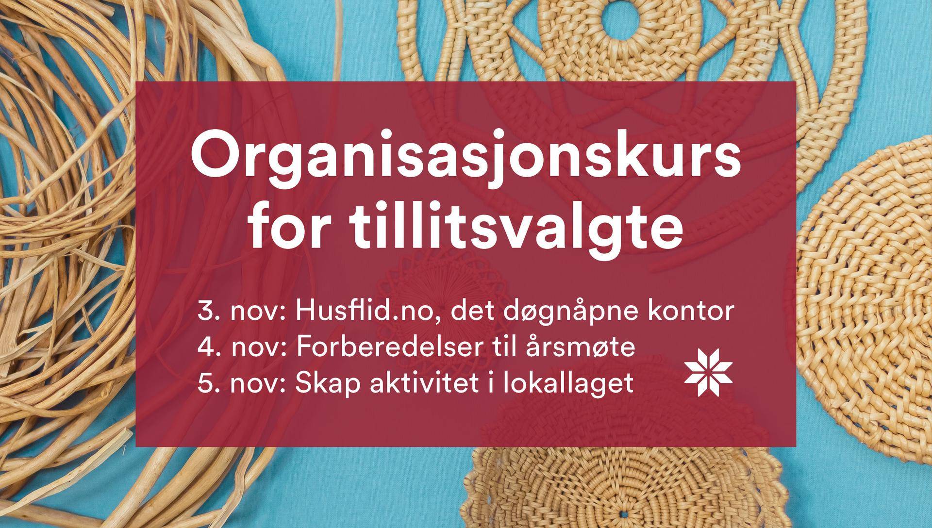 Organisasjonskurs