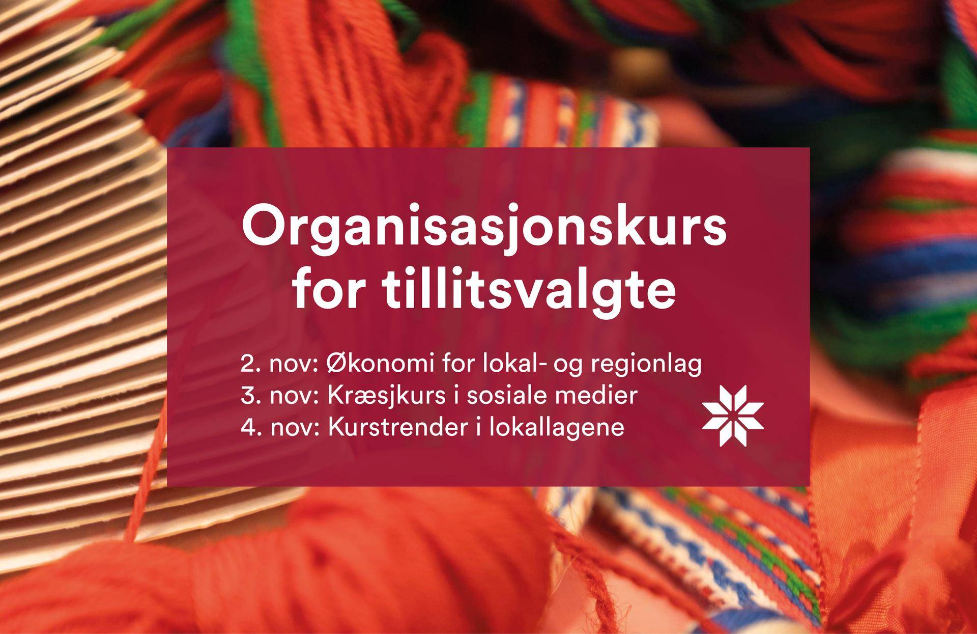 Organisasjonskurs
