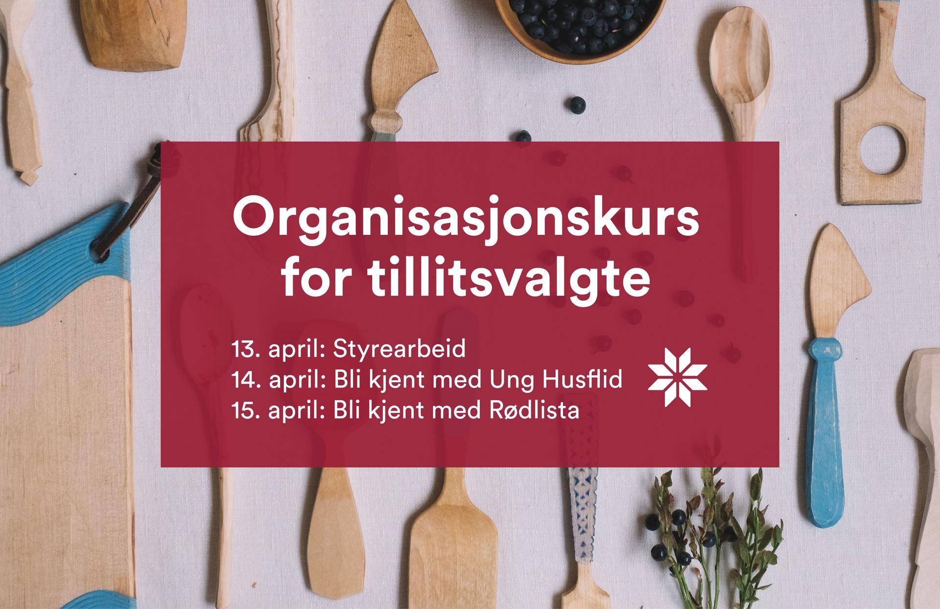 Organisasjonskurs